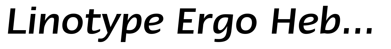 Linotype Ergo Hebrew Medium Italic